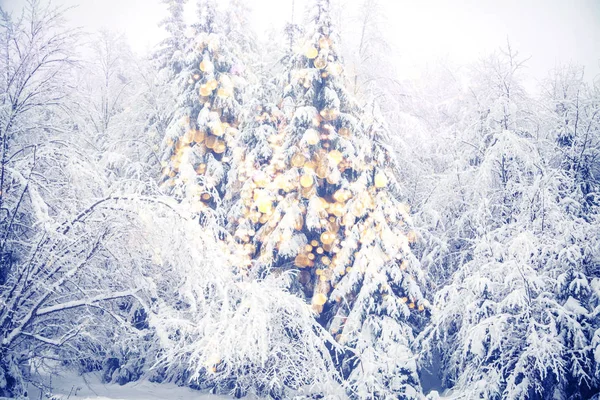 Mágica Árvore Natal Luzes Inverno Fundo — Fotografia de Stock