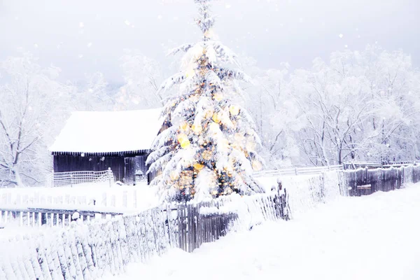 Mágica Árvore Natal Luzes Inverno Fundo — Fotografia de Stock