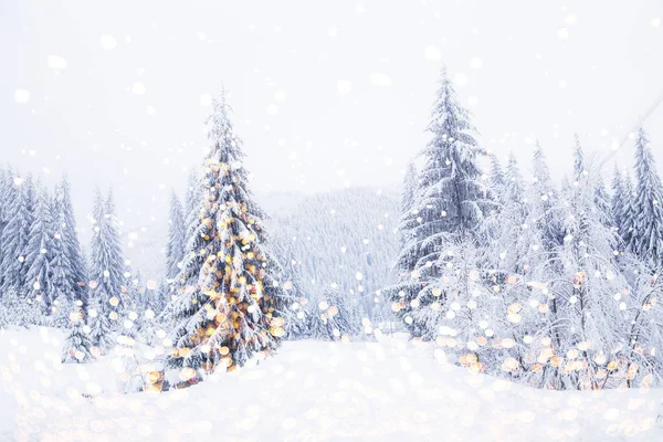 Magické Vánoční Strom Světla Zimní Pozadí — Stock fotografie