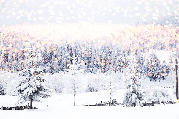 Mágica Árvore Natal Luzes Inverno Fundo — Fotografia de Stock