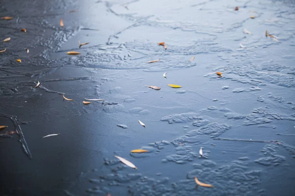 Fondo Invierno Abstracto Con Hoja Sobre Hielo —  Fotos de Stock