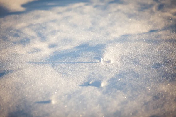 Kalten Abstrakten Winter Schnee Hintergrund — Stockfoto