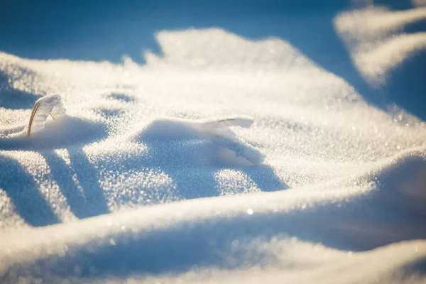 Frío Abstracto Invierno Nieve Fondo —  Fotos de Stock