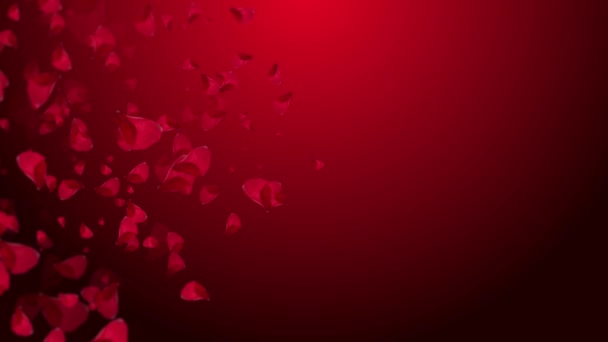 Saint Valentin Tombant Pétales Rose — Video