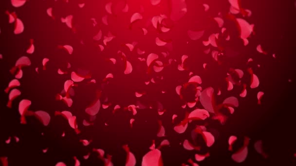 Saint Valentin Tombant Pétales Rose — Video