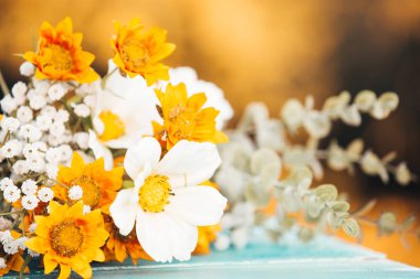 sarı ve beyaz kır çiçekleri