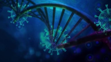 Vücutta Coronavirus hastalığı hücreleri 