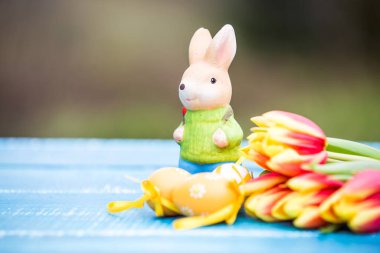 Kırmızı ve sarı Paskalya laleleri