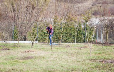 Orta yaşlı kadın baharda bahçeyi temizliyor.