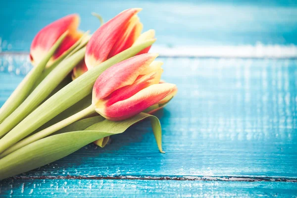 Весняні Тюльпани Синьому Дерев Яному Фоні — стокове фото