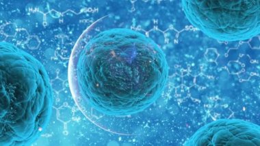 Coronavirus küresel salgın geçmişi 