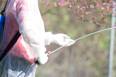 Coronavirus dezenfeksiyonu. Kamu parkında dezenfekte yapan tehlikeli madde işçisi