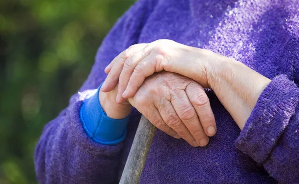 Elderly Woman Hands Wooden Stick — Stock Photo, Image