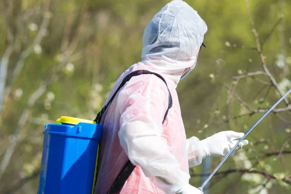 Man Protective Suit Spraying Trees Spring — Stock Photo, Image
