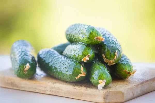 Yerel kaynaklı organik salatalık. 