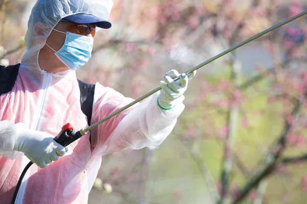 Man in protective suit spring spraying the trees
