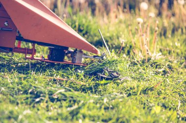  Profesyonel çim biçme makinesi.