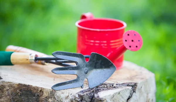 Hand garden tools for spring work