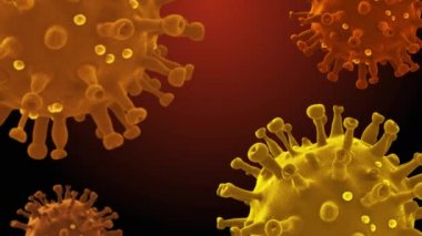Coronavirus salgını COVID 19 virüs hücresi tıbbi geçmişi