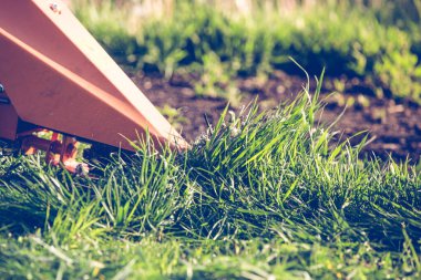 Profesyonel çim biçme makinesi.