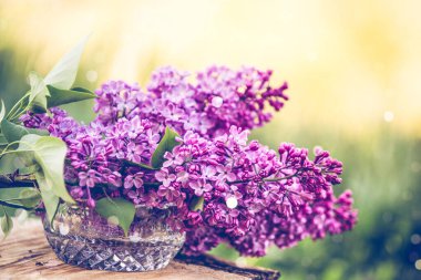 Yaygın mor leylak bahar düğünü arka planı