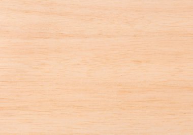 Akçaağaç ahşap doku arka plan