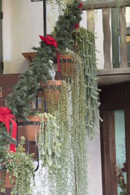 Bitkiler ve tencere karşı merdivenlerde asma plaza merkezi bir bir