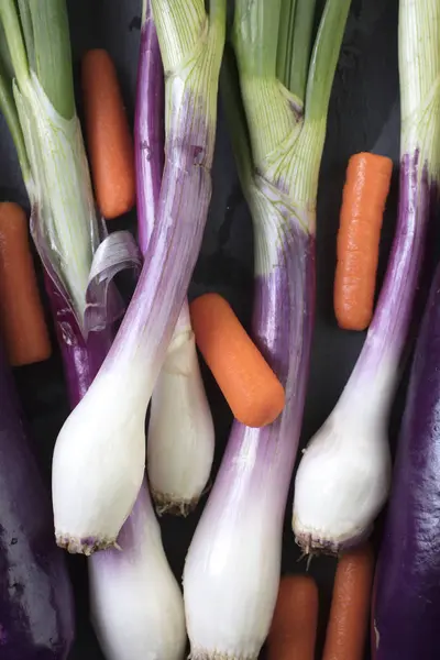 Bawang hijau, wortel, terong Jepang dan toge Zucchini — Stok Foto