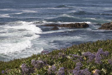 La Jolla, Kaliforniya San Diego'da Peyzaj ve okyanus manzarası