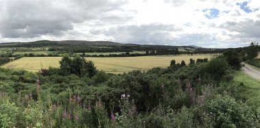 İskoç kırsal ve otlar ve fırça, Amerika K otlakları