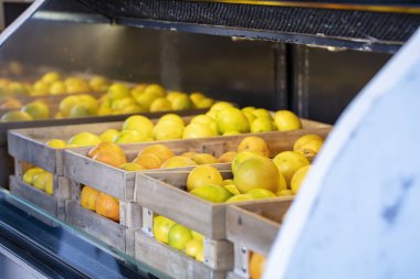 Arka arkaya soğutulmuş portakal ve limon kutuları