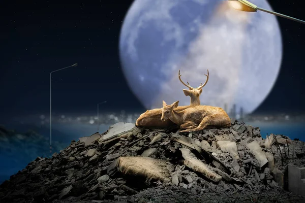 Deer Couple in Rubble on a Full Moon Night