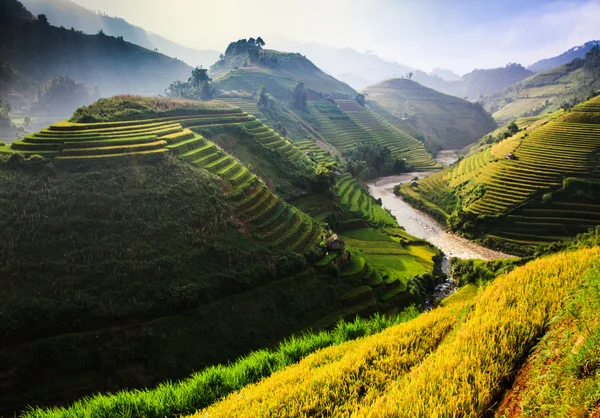 Rýžových polí na terasovitě v severozápadní Vietnam. Stock Snímky