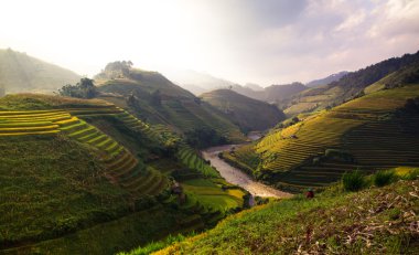 Güneşin Mucangchai, Vietnam, teraslar üzerinde pirinç tarlaları. 