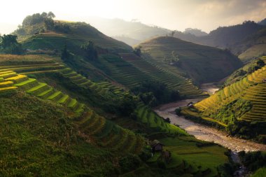Güneşin Mucangchai, Vietnam, teraslar üzerinde pirinç tarlaları. 