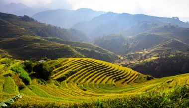 Güneşin Mucangchai, Vietnam, teraslar üzerinde pirinç tarlaları. 