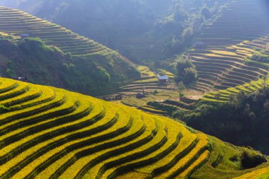 Güneşin Mucangchai, Vietnam, teraslar üzerinde pirinç tarlaları. 