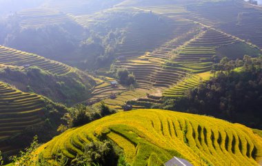 Güneşin Mucangchai, Vietnam, teraslar üzerinde pirinç tarlaları. 