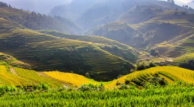 Güneşin Mucangchai, Vietnam, teraslar üzerinde pirinç tarlaları. 
