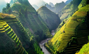 Güneşin Mucangchai, Vietnam, teraslar üzerinde pirinç tarlaları. 