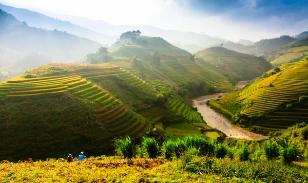 Güneşin Mucangchai, Vietnam, teraslar üzerinde pirinç tarlaları. 