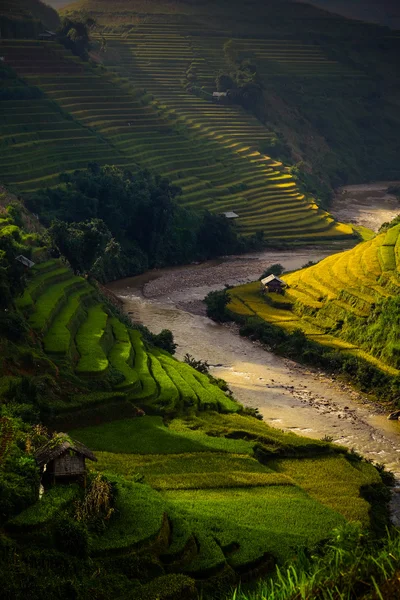 Güneşin Mucangchai, Vietnam, teraslar üzerinde pirinç tarlaları. 