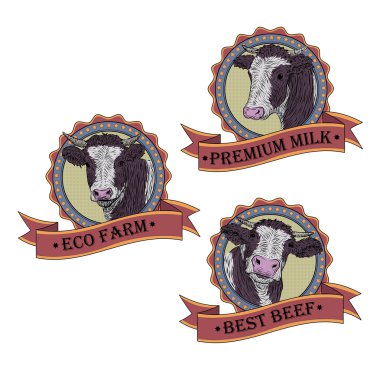 İnek, Dana, boğa şirin namlu yüz küme toplama varyasyon etiket simgesi etiket etiket sembolü metin alanı teyp. Güzel kare işareti pop renk retro illüstrasyon izole beyaz arka plan sanat vektör