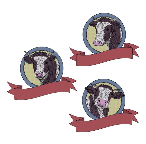 Vaca, ternera, bozal lindo bozal conjunto de cara colección variación etiqueta icono etiqueta símbolo texto espacio cinta. Vector hermoso signo cuadrado contorno color ilustración aislado fondo blanco — Vector de stock