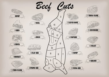 Sığır inek boğa yan karkas kesim kesilmiş parçaları infographics düzeni işareti tabela poster kasaplar Kılavuzu: boyun, yığın, döş fileto kıç. Güzel yatay portre siyah anahat bej arka plan vektör