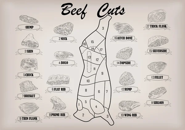 Sığır inek boğa yan karkas kesim kesilmiş parçaları infographics düzeni işareti tabela poster kasaplar Kılavuzu: boyun, yığın, döş fileto kıç. Güzel yatay portre siyah anahat bej arka plan vektör