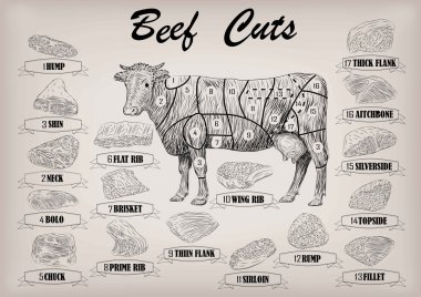 Sığır inek boğa bütün karkas kesim kesilmiş parçaları infographics düzeni işareti tabela poster kasaplar Kılavuzu: boyun, yığın, döş fileto kıç. Güzel yatay portre siyah anahat bej arka plan vektör