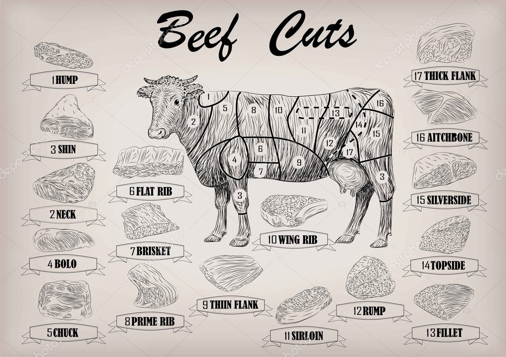 Beef Carcass Parts