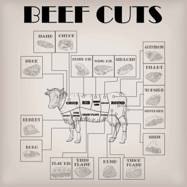 Beef cow bull whole carcass cuts cut parts infographics scheme sign signboard poster butchers guide: neck, chunk, brisket fillet rump. Vector beautiful horizontal closeup black outline beige background clipart