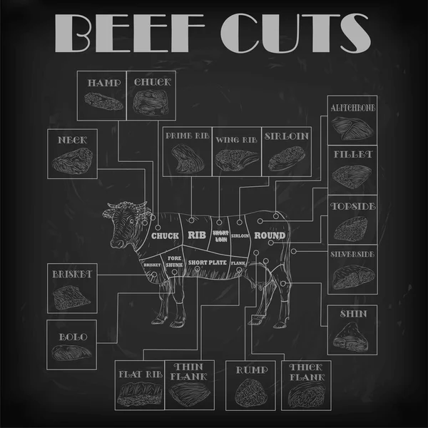 Beef cow bull whole carcass cuts cut parts infographics scheme sign signboard poster butchers guide: neck, chunk, brisket fillet rump. Vector beautiful horizontal closeup white outline black background — Stock Vector